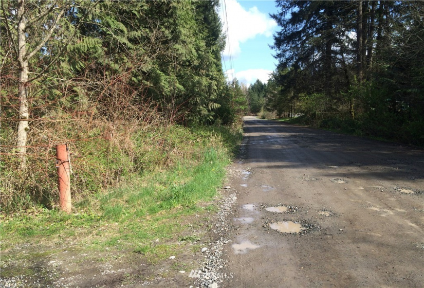 6600 300th, Roy, Washington 98580, ,Land,For Sale,300th,NWM1221517