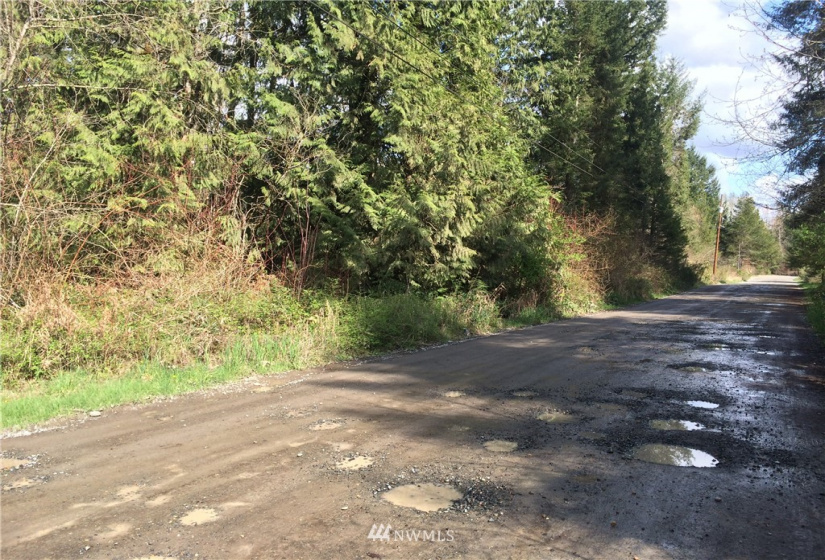 6600 300th, Roy, Washington 98580, ,Land,For Sale,300th,NWM1221517