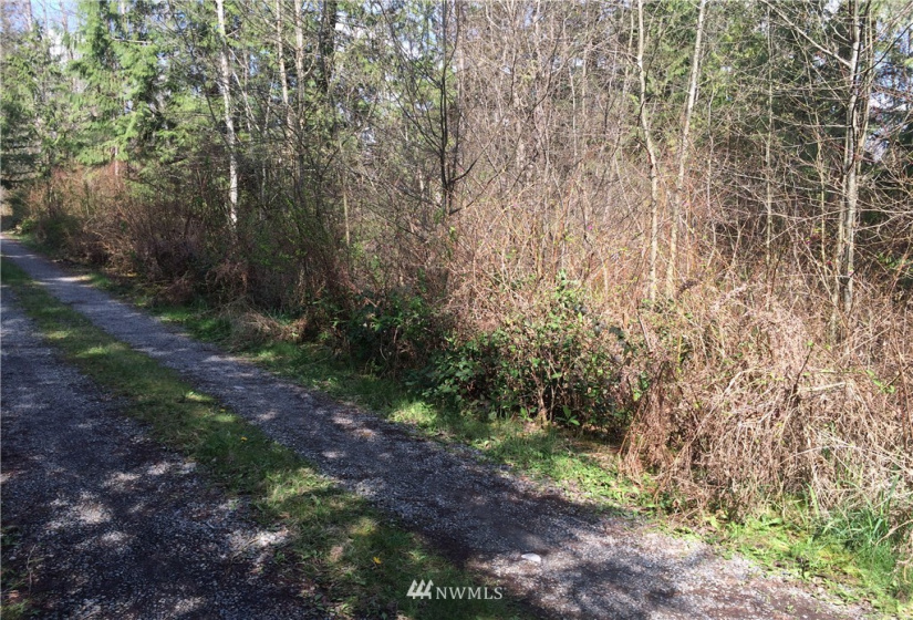 6600 300th, Roy, Washington 98580, ,Land,For Sale,300th,NWM1221517