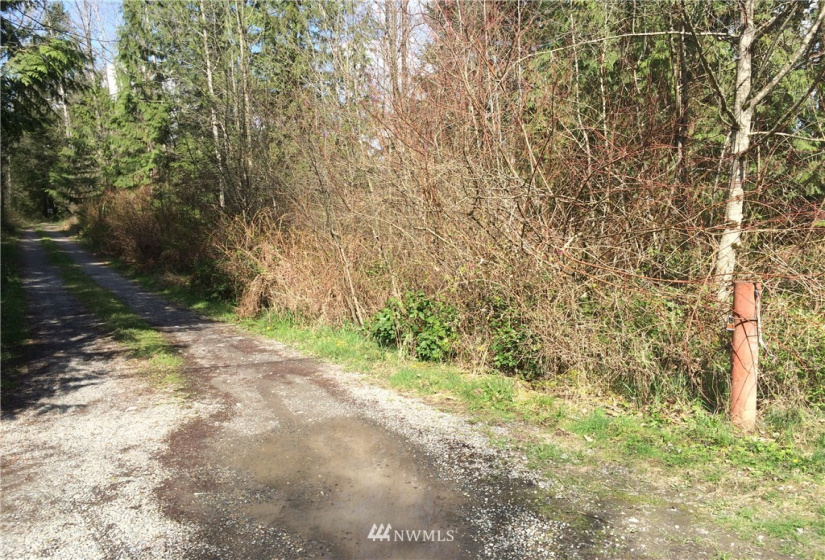 6600 300th, Roy, Washington 98580, ,Land,For Sale,300th,NWM1221517