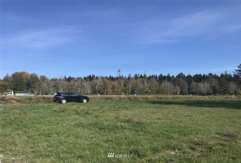 2238 Seabright Farm, Point Roberts, Washington 98281, ,Land,For Sale,Seabright Farm,NWM1838241