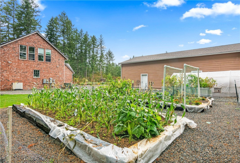 20515 63rd, Spanaway, Washington 98387, 6 Bedrooms Bedrooms, ,1 BathroomBathrooms,Residential,For Sale,63rd,NWM1846325