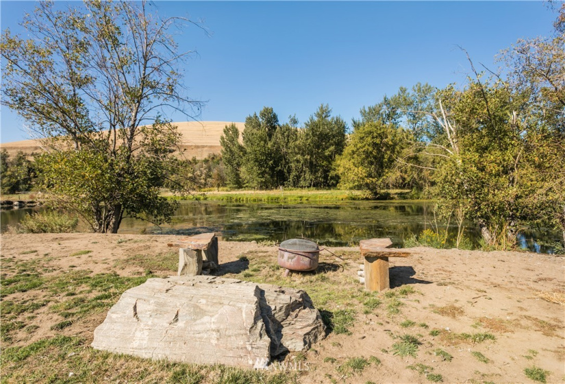 105 Blue Crane, Dayton, Washington 99328, 4 Bedrooms Bedrooms, ,3 BathroomsBathrooms,Farm,For Sale,Blue Crane,NWM1846522