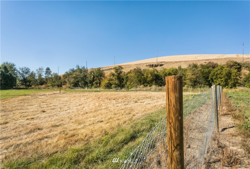 105 Blue Crane, Dayton, Washington 99328, 4 Bedrooms Bedrooms, ,3 BathroomsBathrooms,Farm,For Sale,Blue Crane,NWM1846522