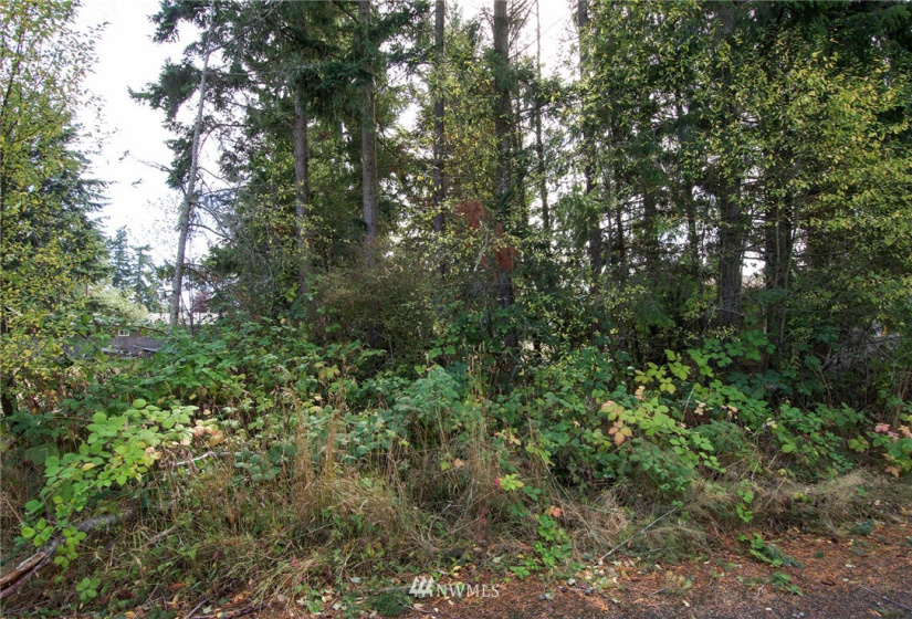 9999 May, Port Hadlock, Washington 98339, ,Land,For Sale,May,NWM1844926