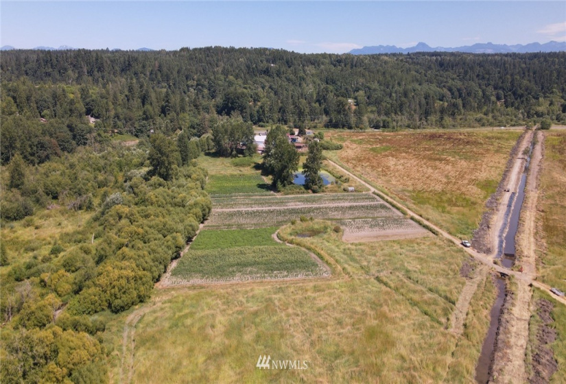 8519 Carnation-Duvall Road NE, Carnation, Washington 98014, 4 Bedrooms Bedrooms, ,1 BathroomBathrooms,Farm,For Sale,Carnation-Duvall Road NE,NWM1845399