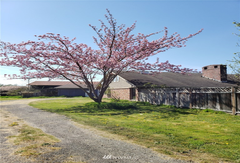 8519 Carnation-Duvall Road NE, Carnation, Washington 98014, 4 Bedrooms Bedrooms, ,1 BathroomBathrooms,Farm,For Sale,Carnation-Duvall Road NE,NWM1845399