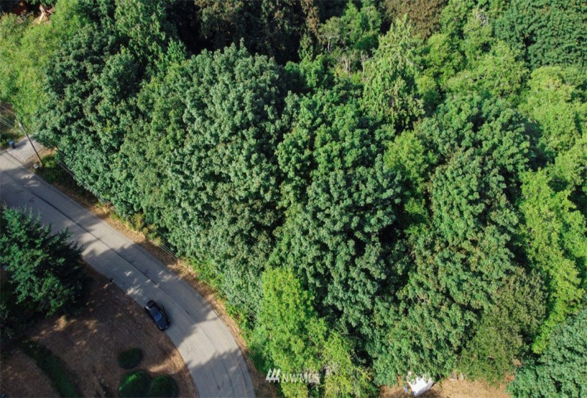 26210 Edgewater, Poulsbo, Washington 98370, ,Land,For Sale,Edgewater,NWM1847081