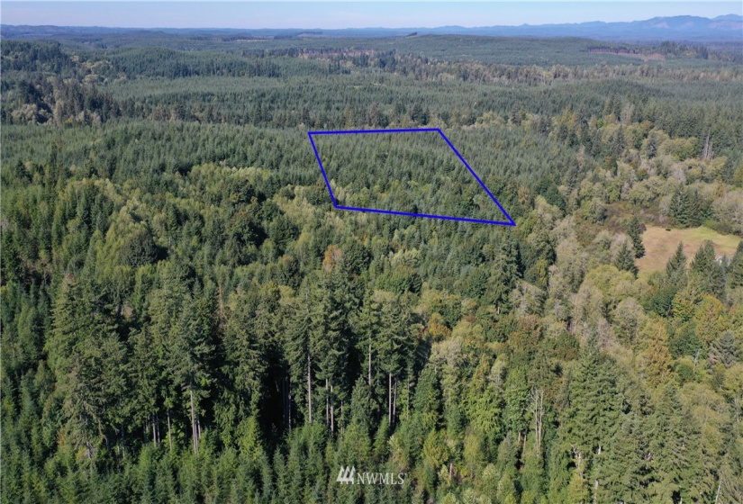 0 XXXX, Elma, Washington 98541, ,Land,For Sale,XXXX,NWM1844973