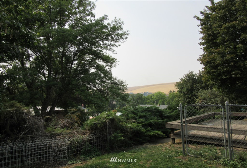 804 Clay Street, Dayton, Washington 99328, 2 Bedrooms Bedrooms, ,2 BathroomsBathrooms,Residential,For Sale,Hatfield,Clay Street,NWM1847259