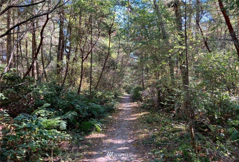 999 x 39th St., Port Townsend, Washington 98368, ,Land,For Sale,Fowlers Park,39th St.,NWM1842033