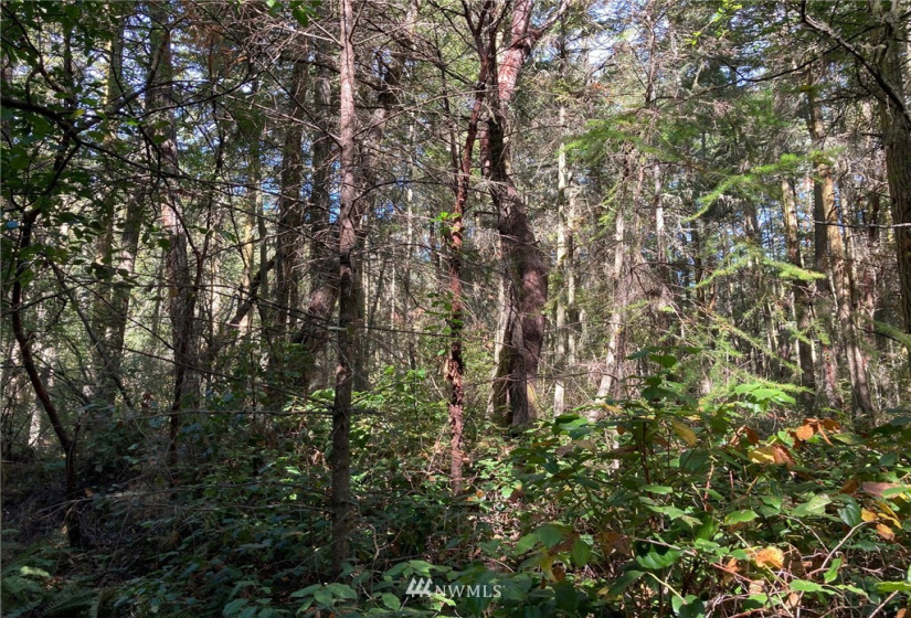 999 x 39th St., Port Townsend, Washington 98368, ,Land,For Sale,Fowlers Park,39th St.,NWM1842033