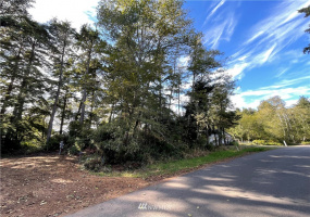 731 Chenois, Ocean Shores, Washington 98569, ,Land,For Sale,5,Chenois,NWM1847396
