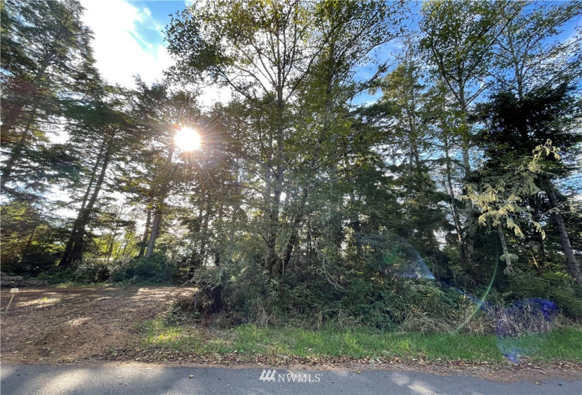 731 Chenois, Ocean Shores, Washington 98569, ,Land,For Sale,5,Chenois,NWM1847396