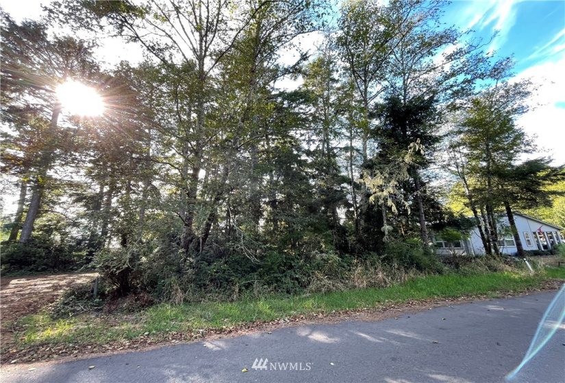 731 Chenois, Ocean Shores, Washington 98569, ,Land,For Sale,5,Chenois,NWM1847396