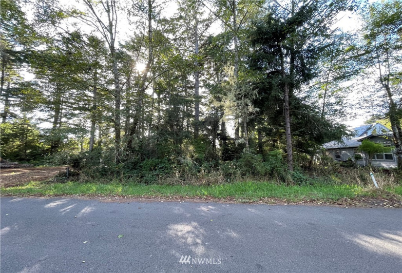 731 Chenois, Ocean Shores, Washington 98569, ,Land,For Sale,5,Chenois,NWM1847396