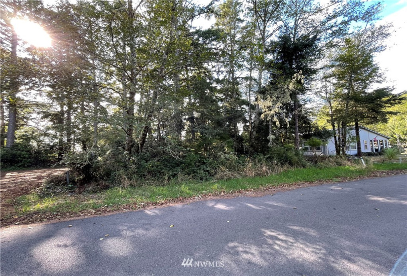 731 Chenois, Ocean Shores, Washington 98569, ,Land,For Sale,5,Chenois,NWM1847396