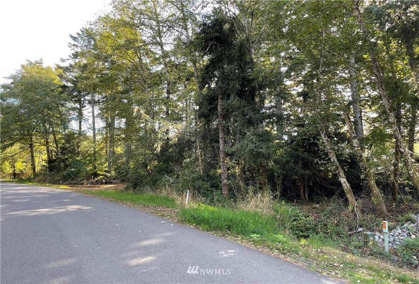 731 Chenois, Ocean Shores, Washington 98569, ,Land,For Sale,5,Chenois,NWM1847396