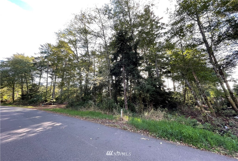 731 Chenois, Ocean Shores, Washington 98569, ,Land,For Sale,5,Chenois,NWM1847396