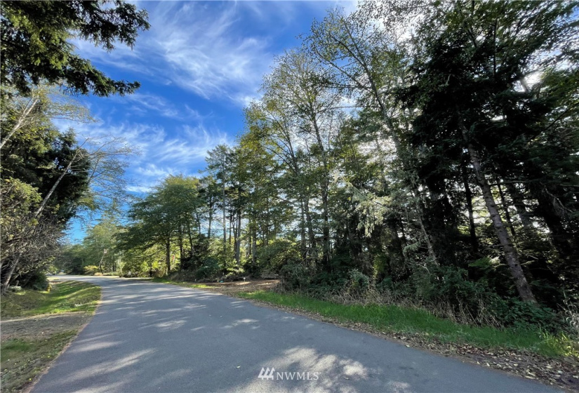 731 Chenois, Ocean Shores, Washington 98569, ,Land,For Sale,5,Chenois,NWM1847396