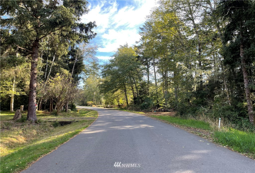 731 Chenois, Ocean Shores, Washington 98569, ,Land,For Sale,5,Chenois,NWM1847396