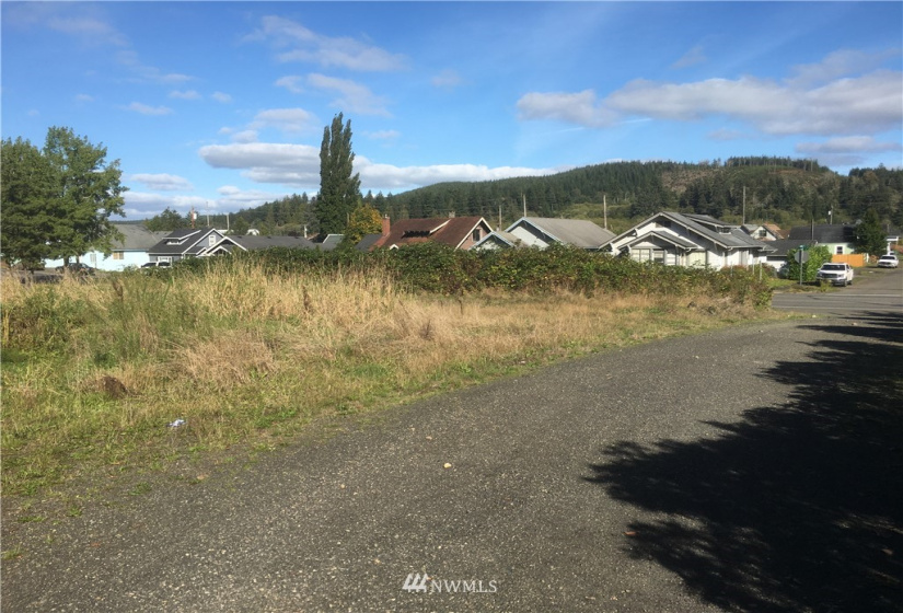 905 Lincoln, Hoquiam, Washington 98550, ,Land,For Sale,KARRS GARDENS,Lincoln,NWM1847564