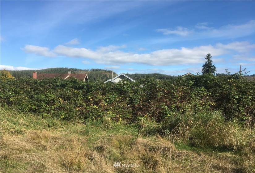 905 Lincoln, Hoquiam, Washington 98550, ,Land,For Sale,KARRS GARDENS,Lincoln,NWM1847564