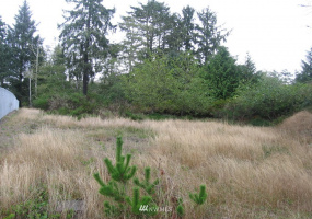 788 Egret, Ocean Shores, Washington 98569, ,Land,For Sale,14,Egret,NWM1847545