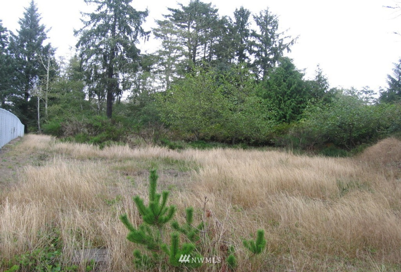 788 Egret, Ocean Shores, Washington 98569, ,Land,For Sale,14,Egret,NWM1847545