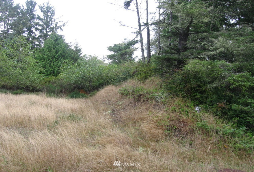 788 Egret, Ocean Shores, Washington 98569, ,Land,For Sale,14,Egret,NWM1847545