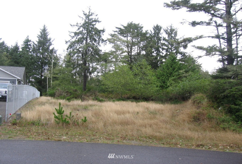 788 Egret, Ocean Shores, Washington 98569, ,Land,For Sale,14,Egret,NWM1847545