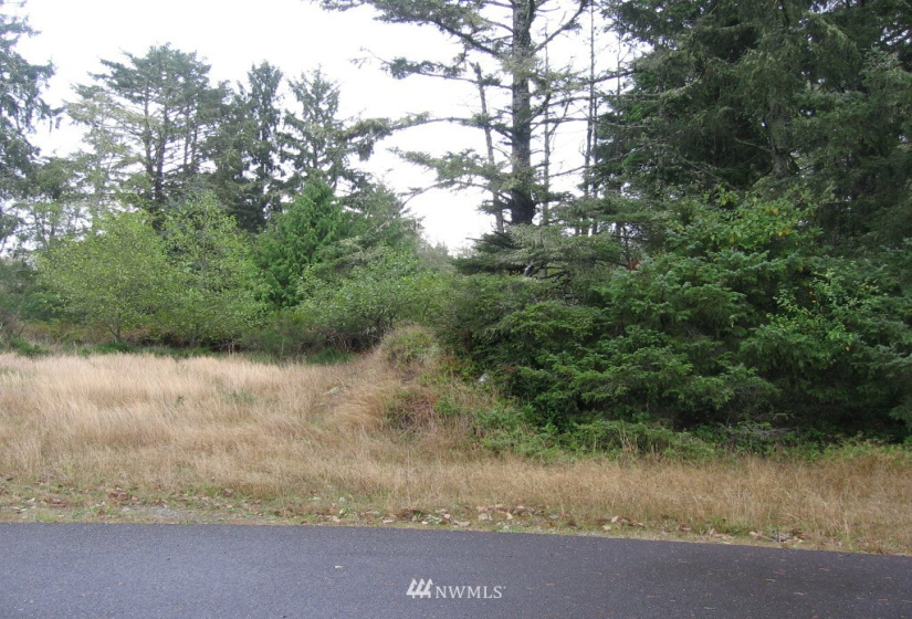 788 Egret, Ocean Shores, Washington 98569, ,Land,For Sale,14,Egret,NWM1847545