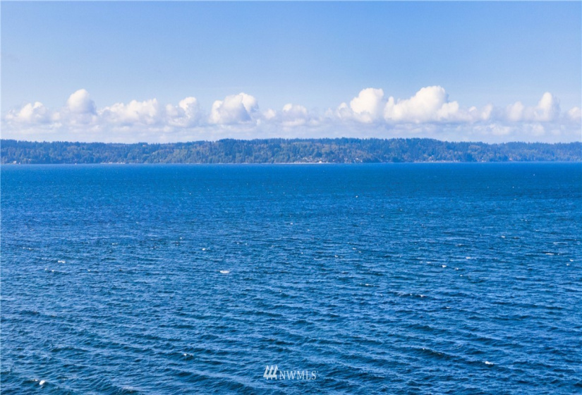 15825 Maplewild, Burien, Washington 98166, ,Land,For Sale,Seacoma Beach Div 3,Maplewild,NWM1843473