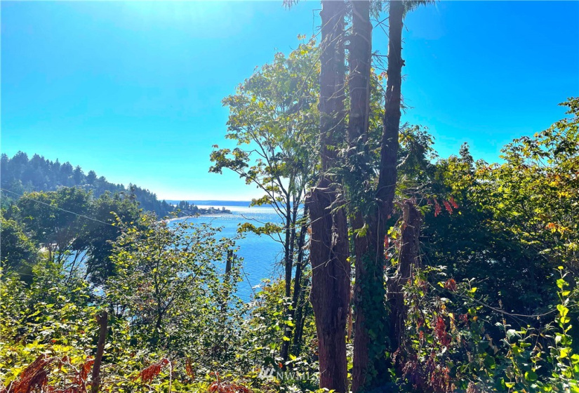 15825 Maplewild, Burien, Washington 98166, ,Land,For Sale,Seacoma Beach Div 3,Maplewild,NWM1843473