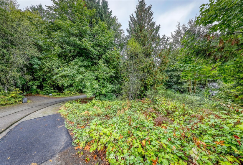 316 Solnae, Bremerton, Washington 98311, ,Land,For Sale,Solnae,NWM1847294