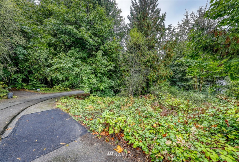 316 Solnae, Bremerton, Washington 98311, ,Land,For Sale,Solnae,NWM1847294