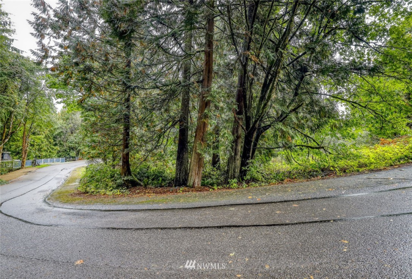 316 Solnae, Bremerton, Washington 98311, ,Land,For Sale,Solnae,NWM1847294