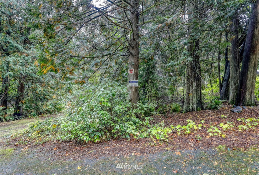 316 Solnae, Bremerton, Washington 98311, ,Land,For Sale,Solnae,NWM1847294