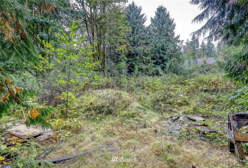 316 Solnae, Bremerton, Washington 98311, ,Land,For Sale,Solnae,NWM1847294