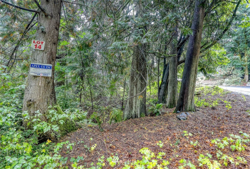 316 Solnae, Bremerton, Washington 98311, ,Land,For Sale,Solnae,NWM1847294