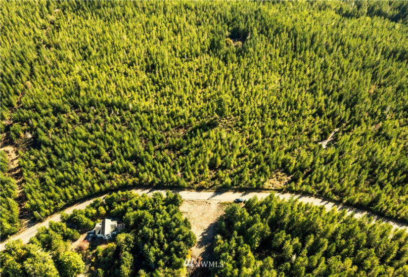 373 Dewatto, Seabeck, Washington 98380, ,Land,For Sale,Dewatto,NWM1846018