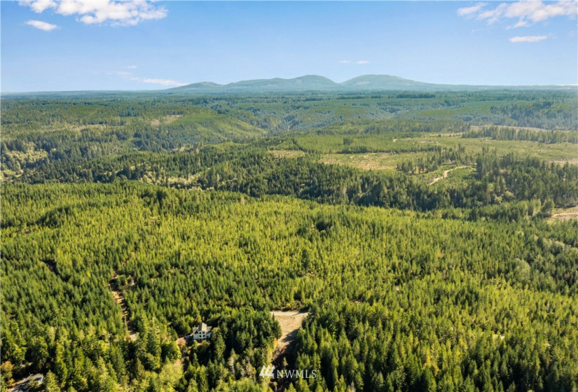 373 Dewatto, Seabeck, Washington 98380, ,Land,For Sale,Dewatto,NWM1846018