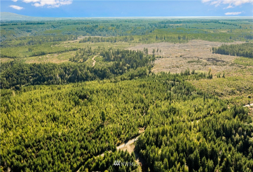 373 Dewatto, Seabeck, Washington 98380, ,Land,For Sale,Dewatto,NWM1846018