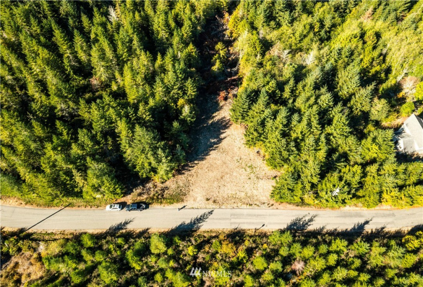 373 Dewatto, Seabeck, Washington 98380, ,Land,For Sale,Dewatto,NWM1846018