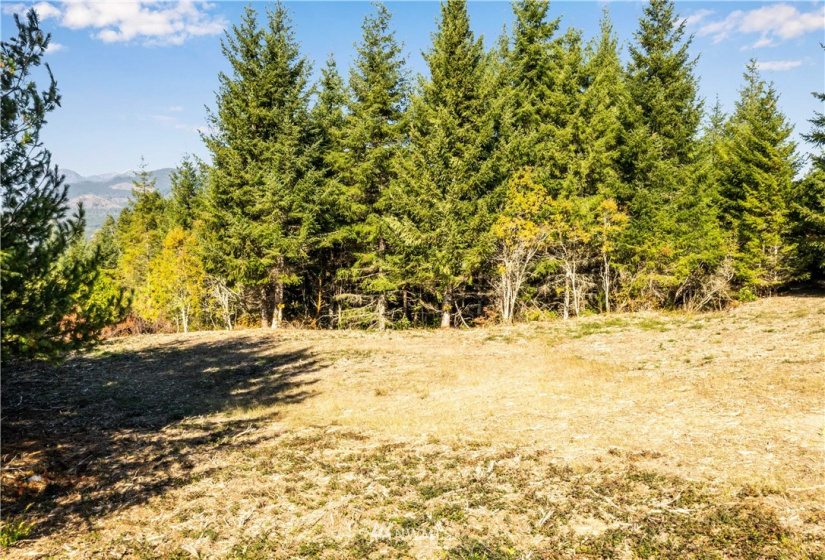 373 Dewatto, Seabeck, Washington 98380, ,Land,For Sale,Dewatto,NWM1846018