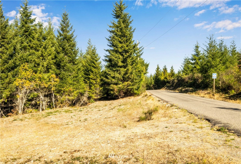 373 Dewatto, Seabeck, Washington 98380, ,Land,For Sale,Dewatto,NWM1846018