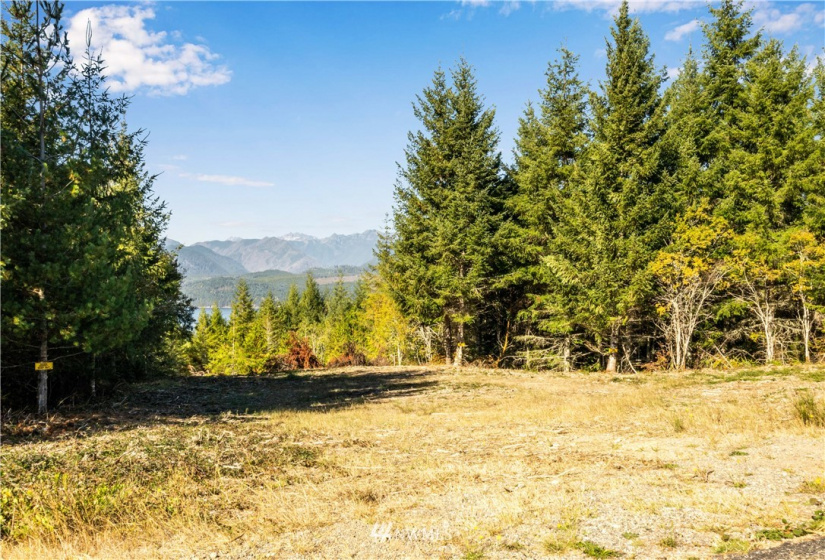 373 Dewatto, Seabeck, Washington 98380, ,Land,For Sale,Dewatto,NWM1846018