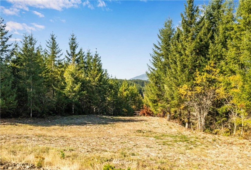 373 Dewatto, Seabeck, Washington 98380, ,Land,For Sale,Dewatto,NWM1846018