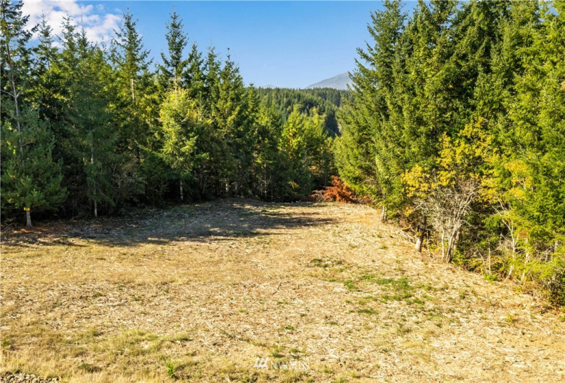 373 Dewatto, Seabeck, Washington 98380, ,Land,For Sale,Dewatto,NWM1846018