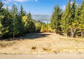 373 Dewatto, Seabeck, Washington 98380, ,Land,For Sale,Dewatto,NWM1846018